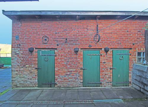 Schuppen - 