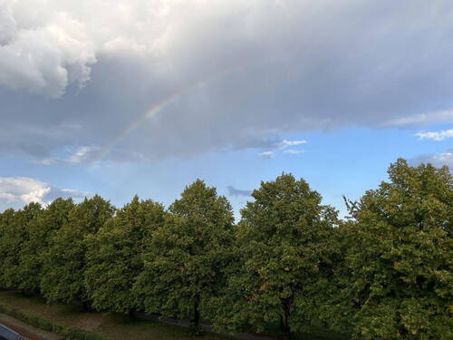 Bild 30 - 