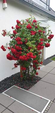 Bild 1 - Freistehendes Einfamilienhaus - 2.200.000,00&nbsp;EUR Kaufpreis, ca.&nbsp; 198,20&nbsp;m&sup2;&nbsp;Wohnfl&auml;che