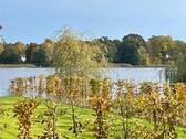 Blick zum See - 