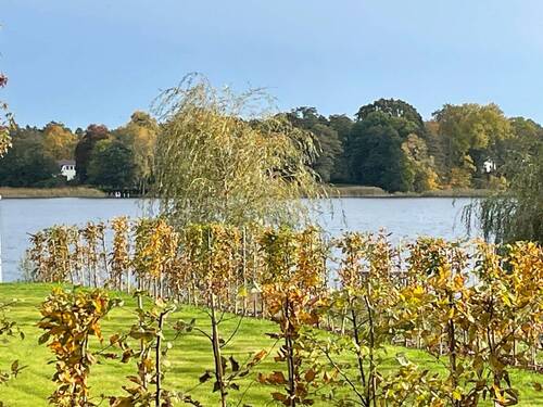 Blick zum See - 