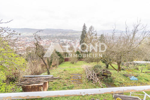 Blick vom Garten - 