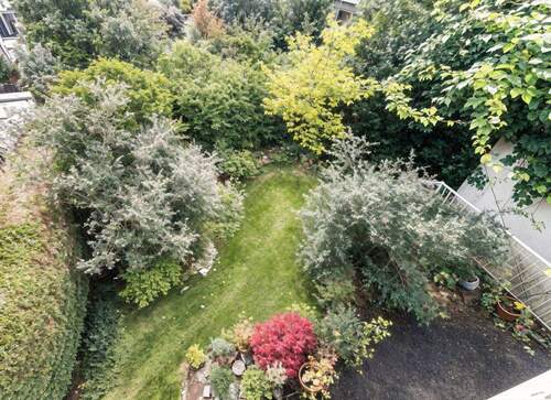 Blick auf den Garten 2 - 