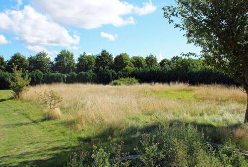 Grundstück - Grundstück zum Kaufen in Born a. Darß
