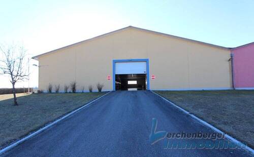Halle Rückseite - Halle zur Miete in Mariaposching / Loham