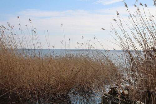 Boddenblick vom Grundstück - 