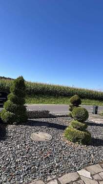 Natur gegenüber - 