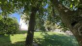 Ambiente - 