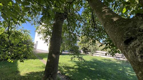 Ambiente - 