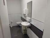 WC Damen - 