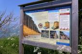 Steilküste - 