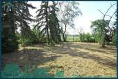 1990 Gartenfläche.jpg - 