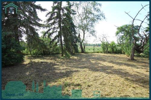 1990 Gartenfläche.jpg - 