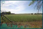 1990 Ausblick vom Garten.jpg - 