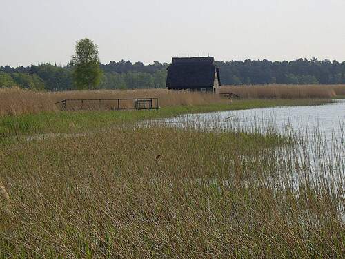 Frühlingserwachen - 
