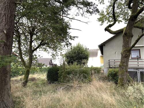 Gartenfläche mit altem Baumbestand - 