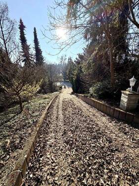 Außenbereich Auffahrt - 