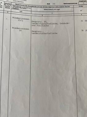 Grundbuchauszug 18 - 