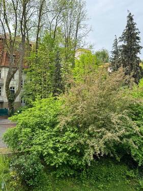 Blick von der Loggia - 
