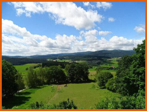 Ausblick vom Balkon - 