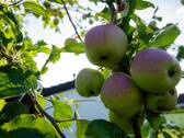 Bild 16 - 