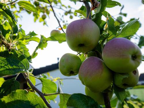 Bild 16 - 