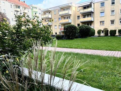 Gemeinschaftsgarten - 