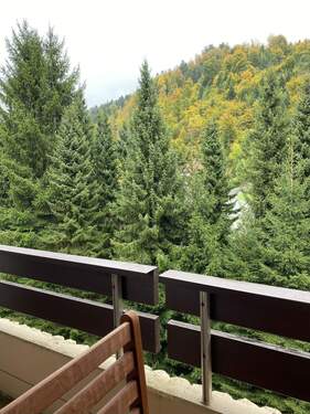 Blick vom Balkon.jpg - 