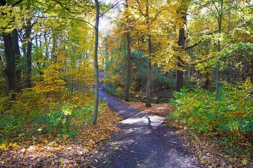 Küchwald - 