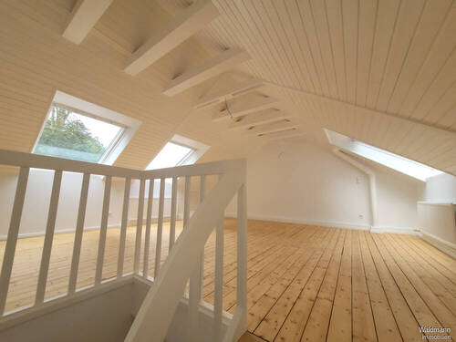 DG Studio - 