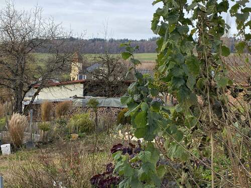 OG_Blick von der Terrasse.jpg - 