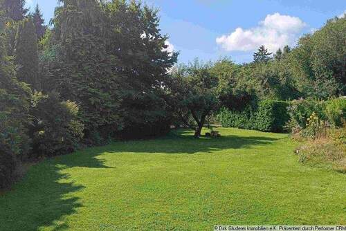 Apfelbaum im Garten - 