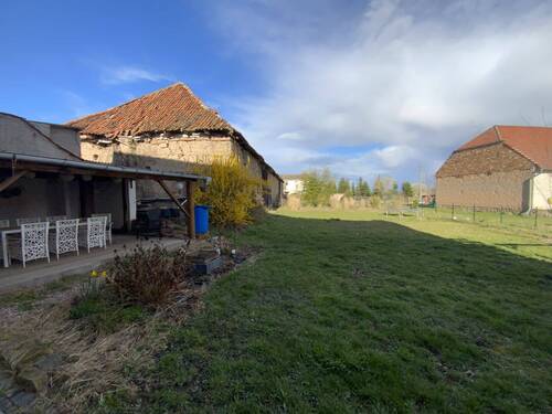 Blick in den Garten - 