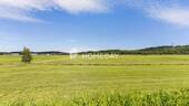 Ausblick - 