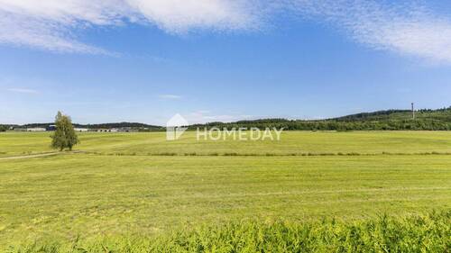 Ausblick - 