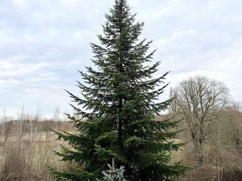 Blick aus dem Fenster - 