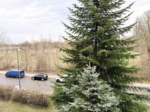 Blick aus dem Fenster - 