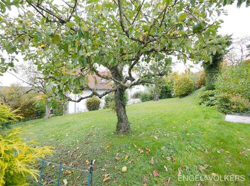 Bild 3 - Einfamilienhaus in Saarbrücken
