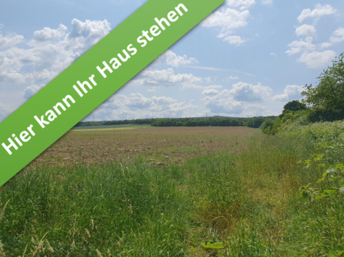 Salder_1.png - Ihr schönes Familienhaus im kommenden Baugebiet in Salder.