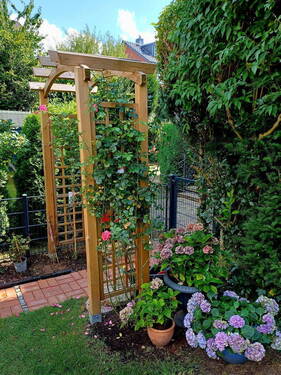 Gartenbereich - 