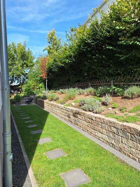 seitlicher Garten - 