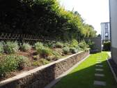 seitlicher Garten - 