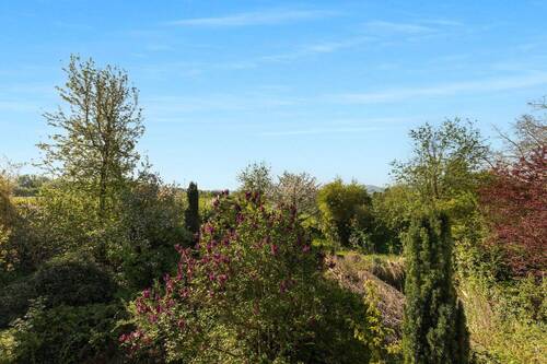 Blick Balkon - 