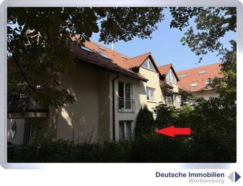 Süd-West - 