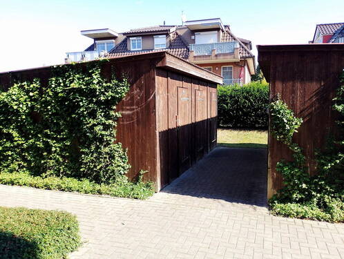 Schuppen - 