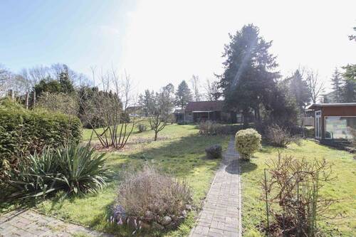 Blick in den Garten - 