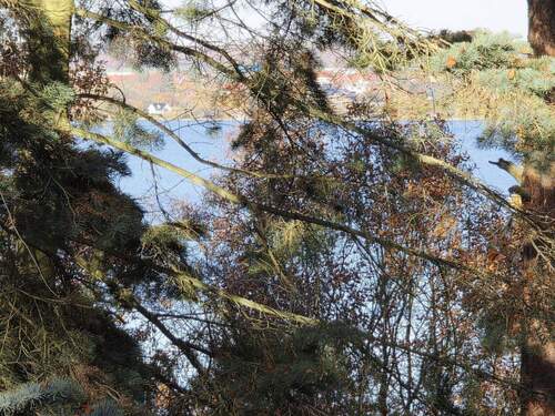 Seeblick von Loggia - 