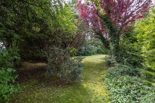Suedgarten - 
