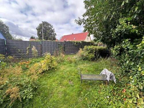 PHOTO-2024-10-22-11-34-57 (5) - 