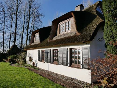 Ansicht - 5 Zimmer Einfamilienhaus in Neuenkirchen